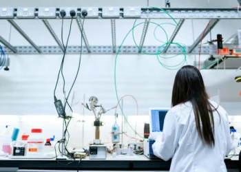 cell line development