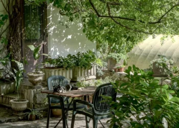 transform garden into a dreamy living space