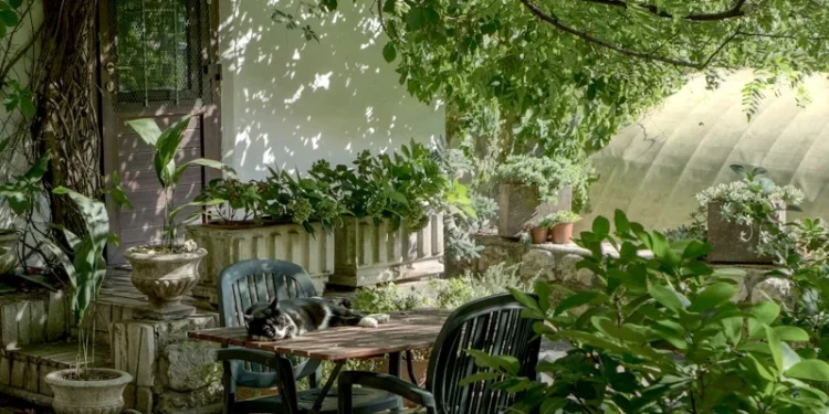 transform garden into a dreamy living space